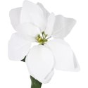 Kwiat pojedynczy Gwiazda Betlejemska Poinsecja 64 cm BIAŁA