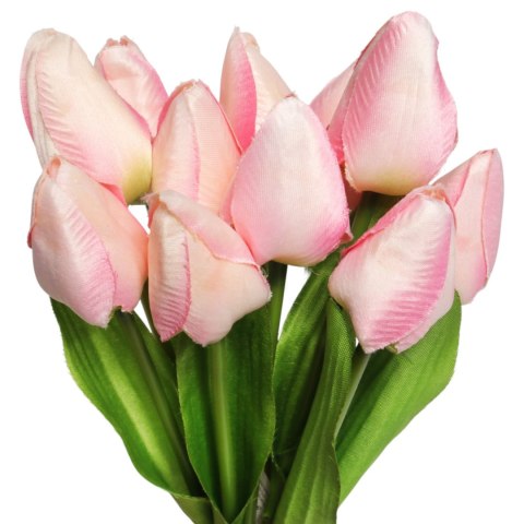 Bukiet 12 TULIPANÓW W PĘCZKU Z RAFIĄ 32 cm jasno różowe