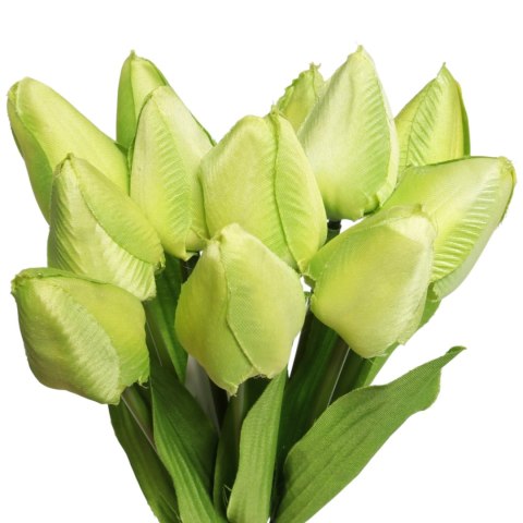 Bukiet 12 TULIPANÓW W PĘCZKU Z RAFIĄ 32 cm jasno różowe