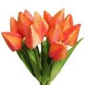Bukiet 12 TULIPANÓW W PĘCZKU Z RAFIĄ 32 cm pomarańczowe