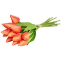 Bukiet 12 TULIPANÓW W PĘCZKU Z RAFIĄ 32 cm pomarańczowe