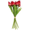 Bukiet 12 TULIPANÓW W PĘCZKU Z RAFIĄ 32 cm