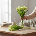 Bukiet 12 TULIPANÓW W PĘCZKU Z RAFIĄ 32 cm zielony