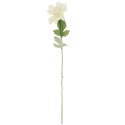 Dalia kwiat pojedynczy biały 70 cm