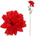 Dalia kwiat pojedynczy czerwony 70 cm