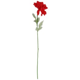 Dalia kwiat pojedynczy czerwony 70 cm