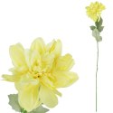 Dalia kwiat pojedynczy czerwony 70 cm