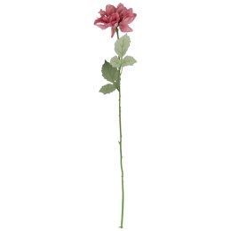 Dalia kwiat pojedynczy różowy 70 cm