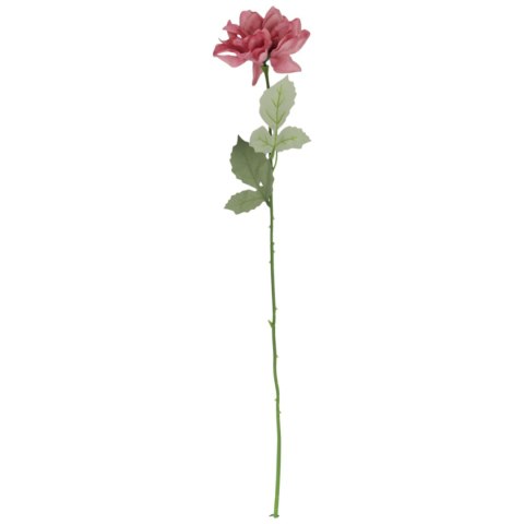 Dalia kwiat pojedynczy różowy 70 cm