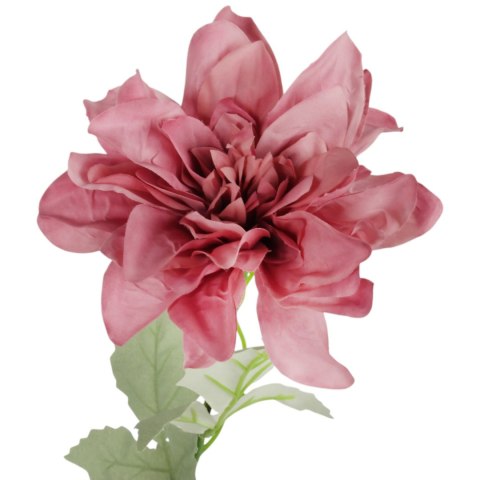 Dalia kwiat pojedynczy różowy 70 cm