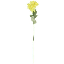 Dalia kwiat pojedynczy żółty 70 cm