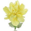 Dalia kwiat pojedynczy żółty 70 cm