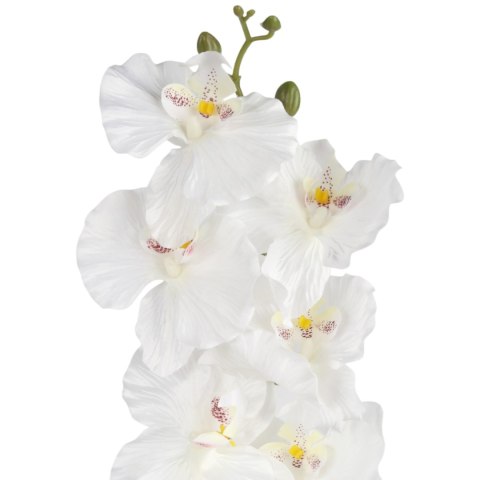 STORCZYK ORCHIDEA GAŁĄZKA 9 KWIATÓW 105 CM BIAŁA
