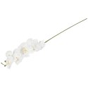 STORCZYK ORCHIDEA GAŁĄZKA 9 KWIATÓW 105 CM BIAŁA