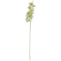 STORCZYK ORCHIDEA GAŁĄZKA 9 KWIATÓW 105 CM GŁĘBOKA CZERWIEŃ