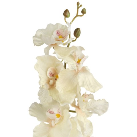 STORCZYK ORCHIDEA GAŁĄZKA 9 KWIATÓW 105 CM GŁĘBOKA CZERWIEŃ