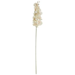 STORCZYK ORCHIDEA GAŁĄZKA 9 KWIATÓW 105 CM KREMOWA