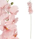STORCZYK ORCHIDEA GAŁĄZKA 9 KWIATÓW 105 CM ŁOSOŚ