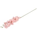STORCZYK ORCHIDEA GAŁĄZKA 9 KWIATÓW 105 CM ŁOSOŚ