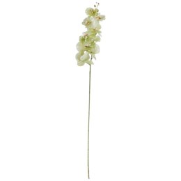 STORCZYK ORCHIDEA GAŁĄZKA 9 KWIATÓW 105 CM PASTELOWA LIMONKA