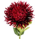 CHRYZANTEMA KWIAT SZTUCZNY do wazonu ciemno czerwona 64 cm