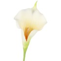 KALIA CALLA SILIKON GAŁĄZKA SZTUCZNA biała 67 cm