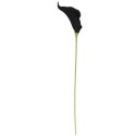 KALIA CALLA SILIKON GAŁĄZKA SZTUCZNA czarna 67 cm