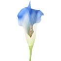 KALIA CALLA SILIKON GAŁĄZKA SZTUCZNA niebieska 67 cm