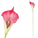 KALIA CALLA SILIKON GAŁĄZKA SZTUCZNA pomarańczowo-żółta 67 cm