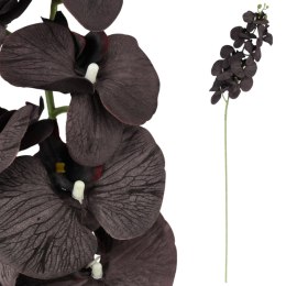 STORCZYK sztuczne kwiaty do wazonu GAŁĄZKA ORCHIDEA brązowa 100 cm