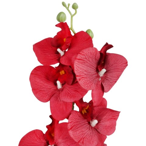 STORCZYK sztuczne kwiaty do wazonu GAŁĄZKA ORCHIDEA czerwona 100 cm