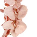STORCZYK sztuczne kwiaty do wazonu GAŁĄZKA ORCHIDEA jasno brązowa 100 cm