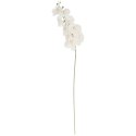 STORCZYK sztuczne kwiaty do wazonu GAŁĄZKA ORCHIDEI biała 100 cm