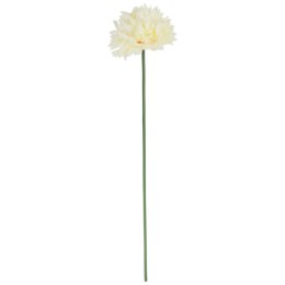 Czosnek Sztuczny Koloru KREMOWEGO - Wysokość 78 cm