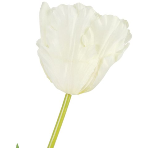 TULIPAN KWIAT SZTUCZNY do wazonu biały 65 cm