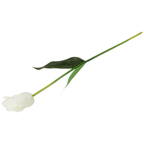 TULIPAN KWIAT SZTUCZNY do wazonu biały 65 cm