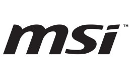 MSI Y06-1161303-MSI