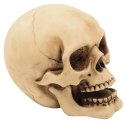 Figurka Czaszka 10cm Dekoracja- MC-30684