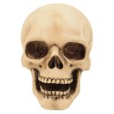 Figurka Czaszka 10cm Dekoracja- MC-30684