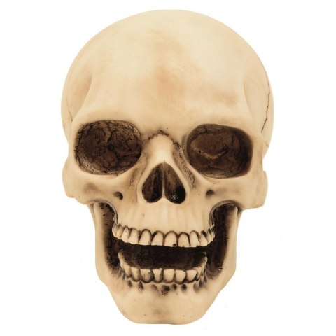 Figurka Czaszka 10cm Dekoracja- MC-30684