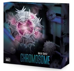 GRA CHROMOSOME CUBE -EOL