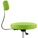 Krzesło taboret hoker kosmetyczny z oparciem na kółkach do 150 kg TERNI zielony