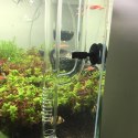 Deep Aqua Szklany Wlot Skimmer 13mm(Wąż 12-16mm)
