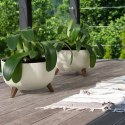 Donica Rosa linea ECO wood biała 29xh18