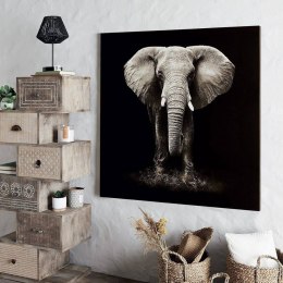 Obraz ścienny na płótnie Słoń 100x100 cm Nadruk na płótnie do zawieszenia na ścianie, realistyczne wykonanie