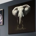 Obraz ścienny na płótnie Słoń 100x100 cm Nadruk na płótnie do zawieszenia na ścianie, realistyczne wykonanie