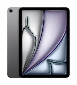 IPap Air 11 cali WiFi 1TB Szary