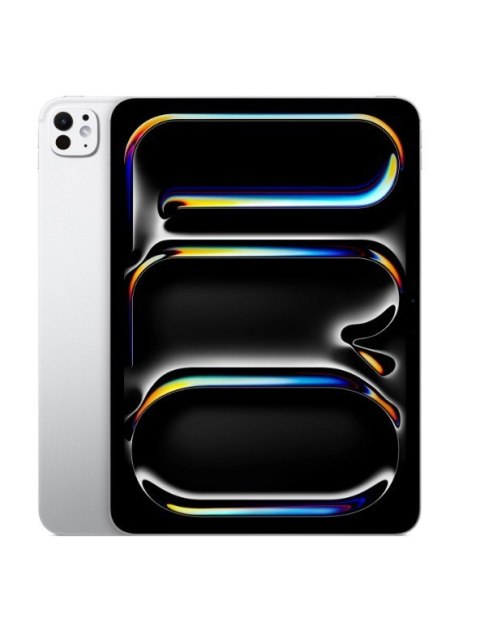 IPad Pro 11-calowy Wi-Fi 256 GB ze standardowym szkłem - Srebrny