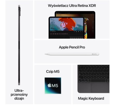 IPad Pro 11-calowy Wi-Fi 2 TB ze standardowym szkłem - Srebrny