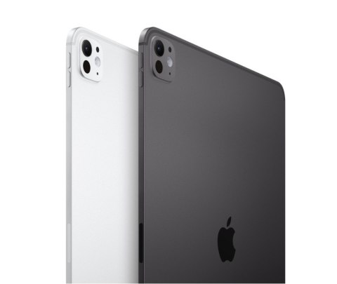 IPad Pro 11-calowy Wi-Fi + Cellular 512 GB ze standardowym szkłem - Gwiezdna czerń